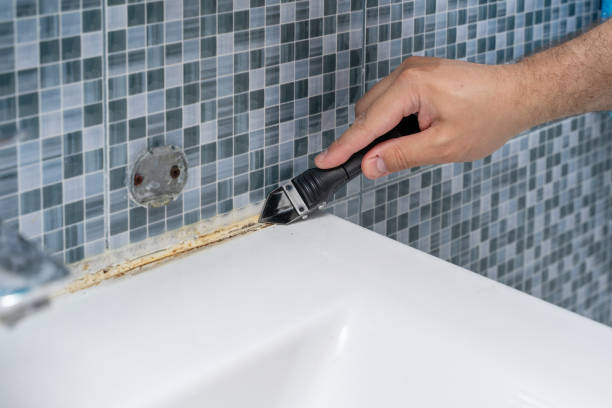 Best Black Mold Remediation in Palmetto Bay, FL